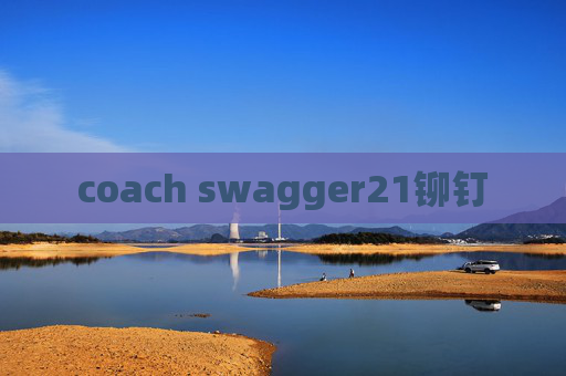 coach swagger21铆钉